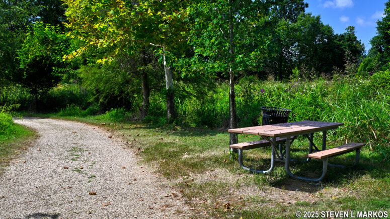 Picnic table along a path through the water lily and lotus ponds at Kenilworth Aquatic Gardens in Washington, D.C.