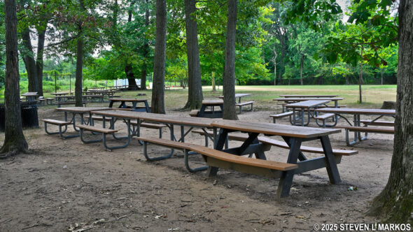 Picnic area at Kenilworth Aquatic Gardens in Washington, D.C.