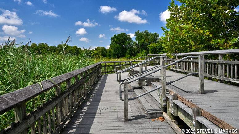 Two-tier observation deck on the Marsh Boardwalk at Kenilworth Aquatic Gardens in Washington, D.C.