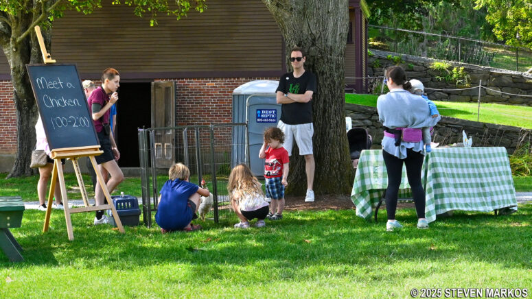 Meet a Chicken daily program at Billings Farm and Museum in Woodstock, Vermont