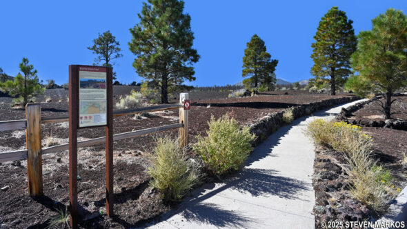 Bonito Vista Trail at Sunset Crater Volcano National Monument