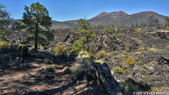 View of the Bonito Lava Flow from the A'a Trail at Sunset Crater Volcano National Monument