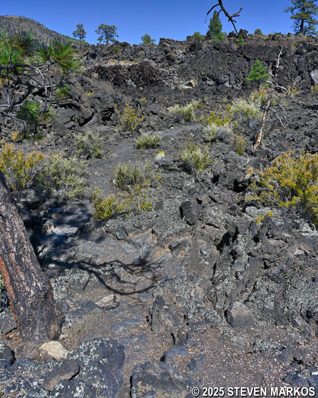 Typical terrain on the A'a Trail at Sunset Crater Volcano National Monument