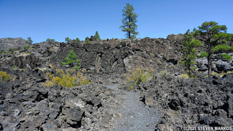 Typical terrain on the A'a Trail at Sunset Crater Volcano National Monument