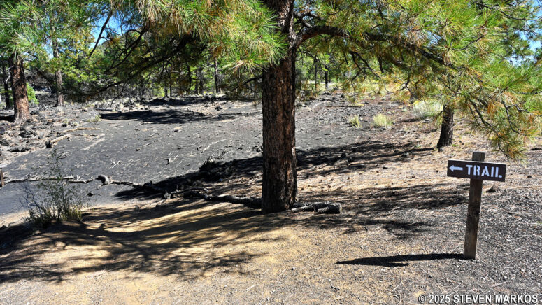 Eastern trailhead of the A'a Trail at Sunset Crater Volcano National Monument
