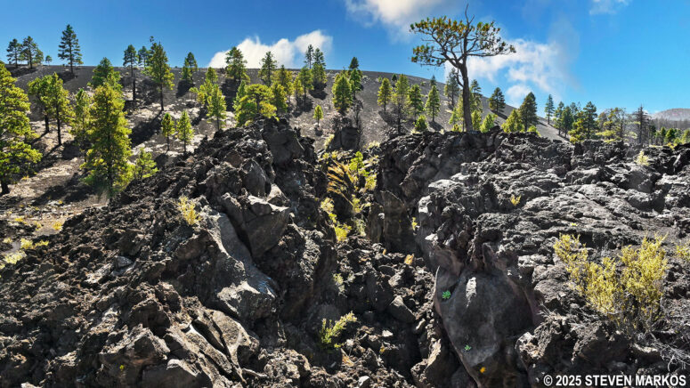 Lava bulge at Stop 4 on the Lava Flow Trail, Sunset Crater Volcano National Monument