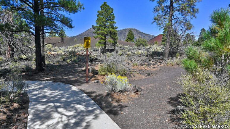 Lower loop reconnects to the paved upper loop on the north side of the Lava Flow Trail, Sunset Crater Volcano National Monument