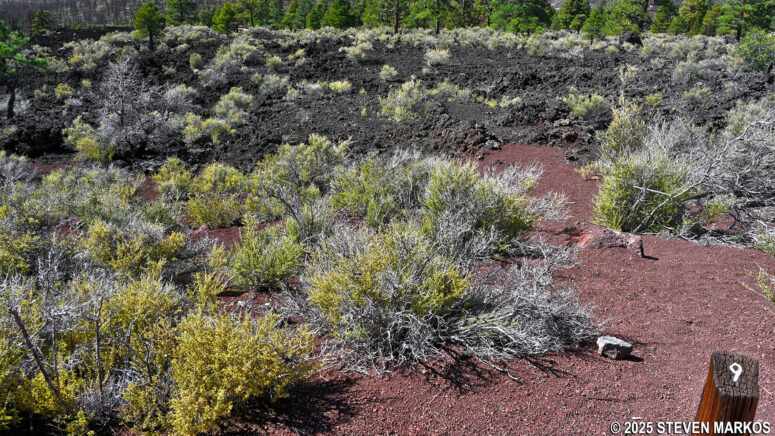 Spatter cone at Stop 9 on the Lava Flow Trail, Sunset Crater Volcano National Monument