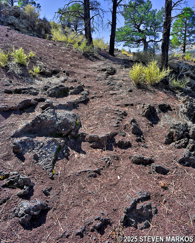 Section of rocky terrain on the Lava Flow Trail at Sunset Crater Volcano National Monument