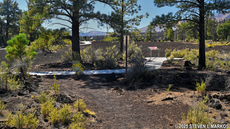 Lower loop of the Lava Flow Trail reconnects to the paved upper loop section, Sunset Crater Volcano National Monument