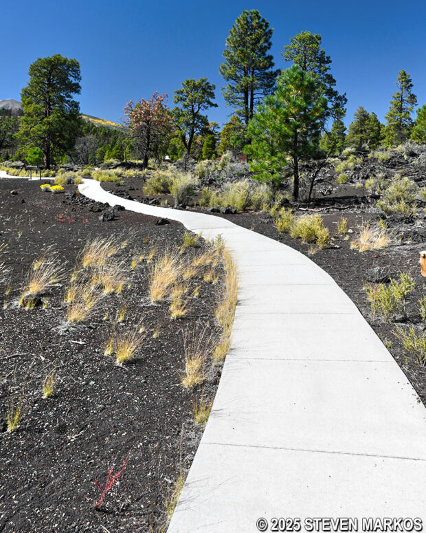 Upper loop on the way to Stop 13 on Lava Flow Trail at Sunset Crater Volcano National Monument