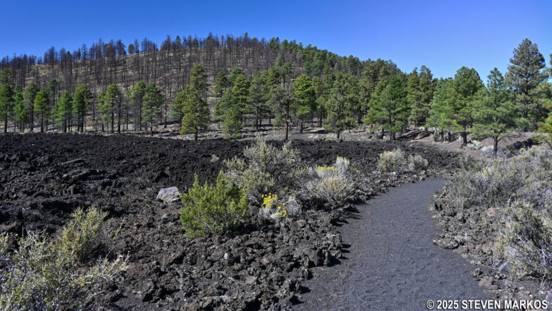 Bonito Lava Flow alongside the Lenox Crater Trail at Sunset Crater Volcano National Monument