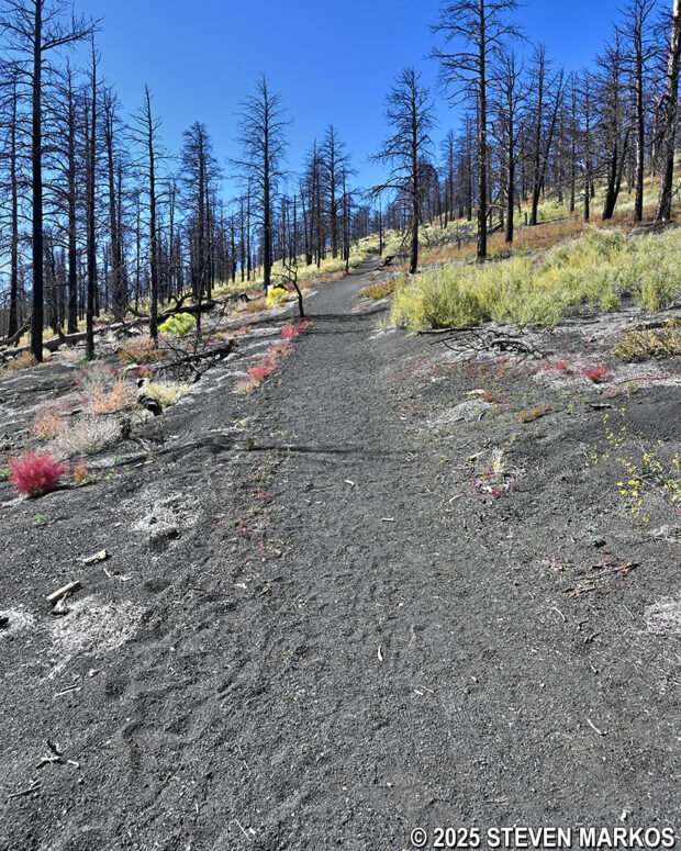 Typical terrain on the hike up to the top of Lenox Crater on the Lenox Crater Trail, Sunset Crater Volcano National Monument