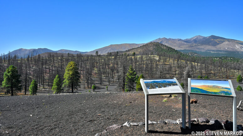 View of the San Francisco Peaks from the summit of the Lenox Crater, Sunset Crater Volcano National Monument