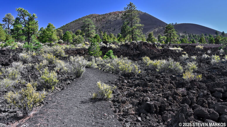 View of Sunset Crater from the Lenox Crater Trail at Sunset Crater Volcano National Monument