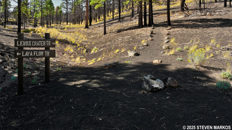 Start of loop portion of the Lenox Crater Trail at Sunset Crater Volcano National Monument