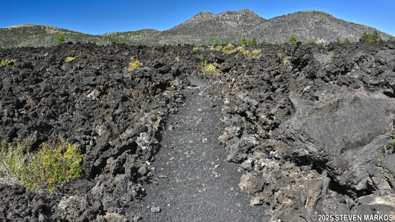 View of O'Leary Peak and the Bonito Lava Flow from the Lava's Edge Trail, Sunset Crater Volcano National Monument
