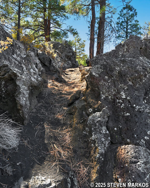 Short, steep hill on the Lava's Edge Trail at Sunset Crater Volcano National Monument