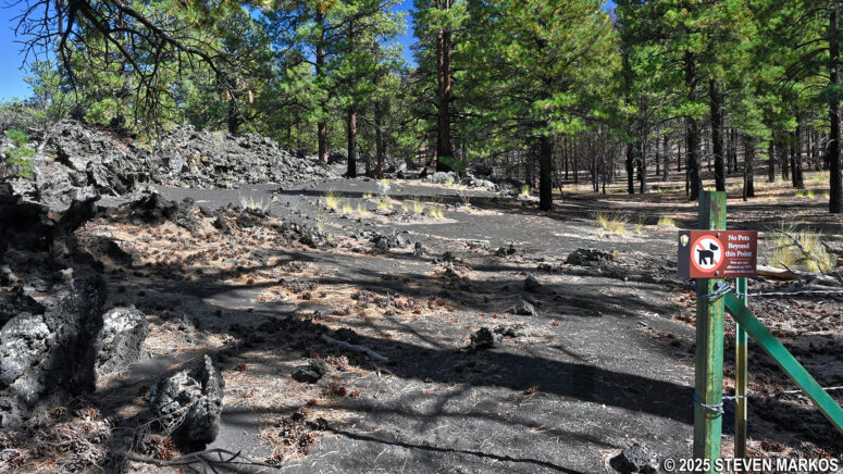 Park boundary fence on the Lava's Edge Trail at Sunset Crater Volcano National Monument
