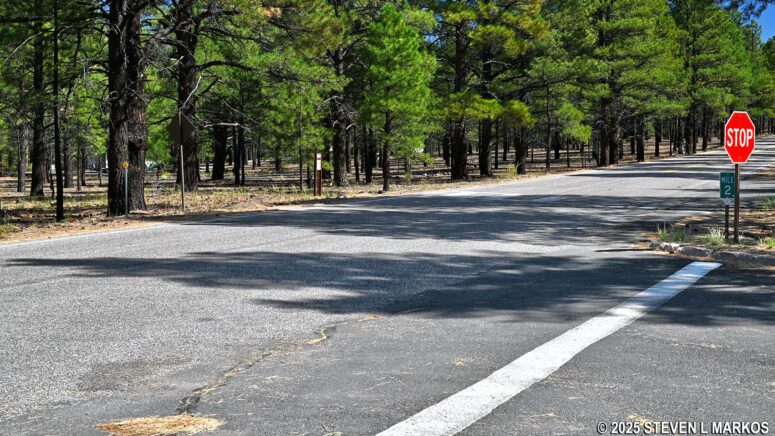 Western end of the Lava's Edge Trail at the Sunset Crater Volcano Visitor Center
