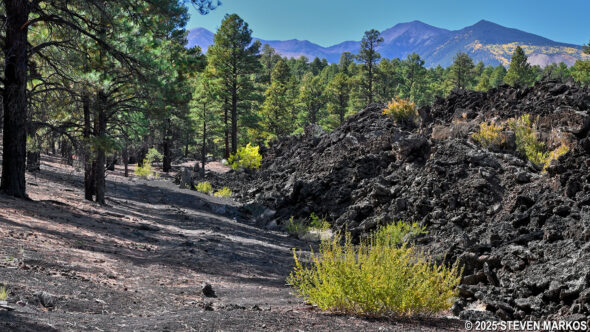 Lava's Edge Trail at Sunset Crater Volcano National Monument