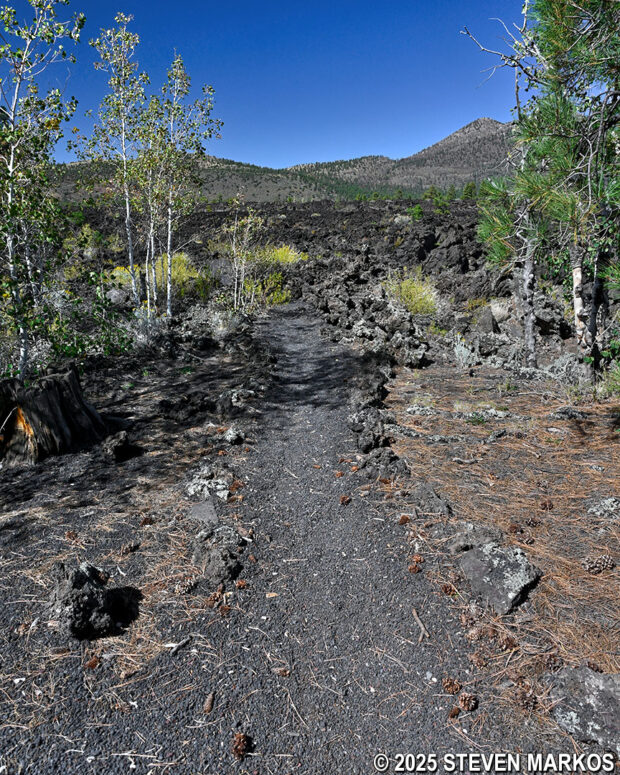 Start of the Lava's Edge Trail at Sunset Crater Volcano National Monument