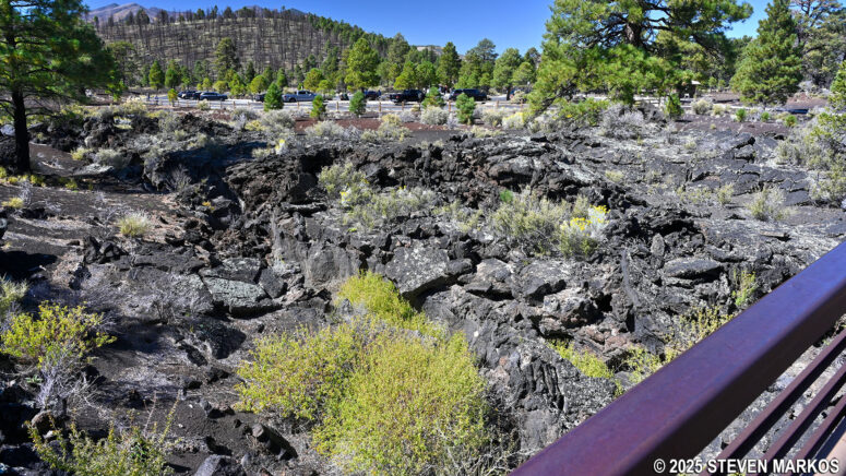 View of the Bonito Lava Flow from the Lava Flow Trail at Sunset Crater Volcano National Monument