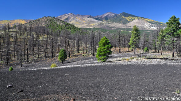 View of the San Francisco Volcanic Field from the top of Lenox Crater, Sunset Crater Volcano National Monument