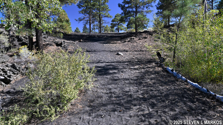 Terrain of the A'a Trail just before reaching the parking lot at the eastern trailhead, Sunset Crater Volcano National Monument