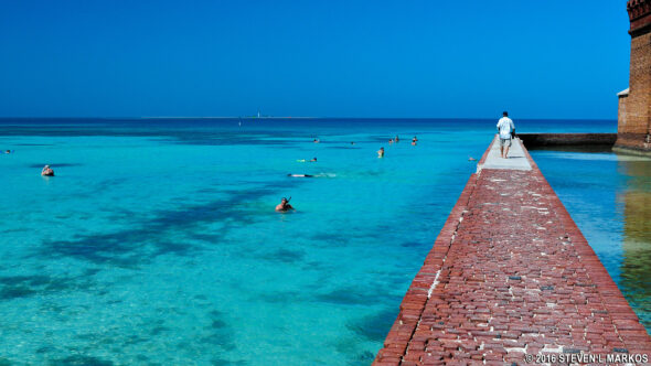 Swimming and snorkeling at Garden Key in Dry Tortugas National Park