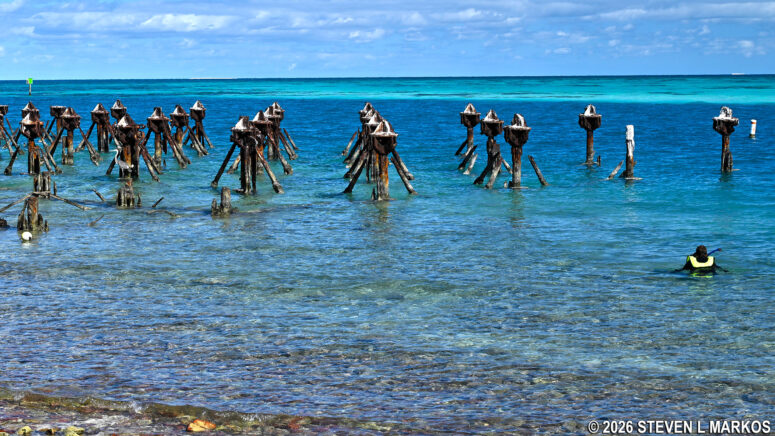 Snorkeling at the pilings of the North Coaling Pier at Garden Key in Dry Tortugas National Park