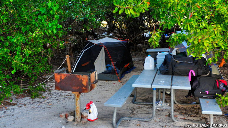 Campsite nestled under the branches of a few shade trees on Garden Key in Dry Tortugas National Park