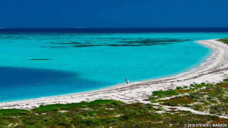 The shore of Bush Key at Dry Tortugas National Park