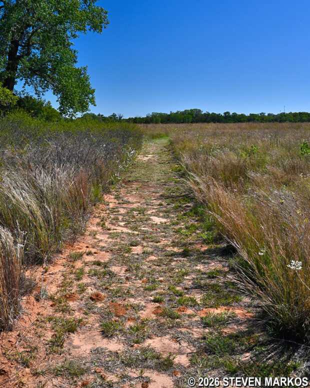 Earthen trail covered with ant hills at Stop 8 on the Washita Battlefield Trail, Washita Battlefield National Historic Site