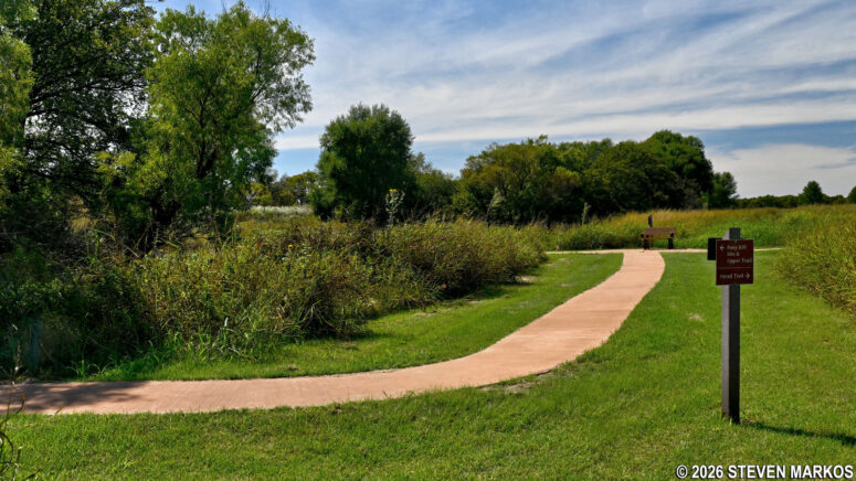 Grass path reconnects to the paved section of the Washita Battlefield Trail at its midway point, Washita Battlefield National Historic Site