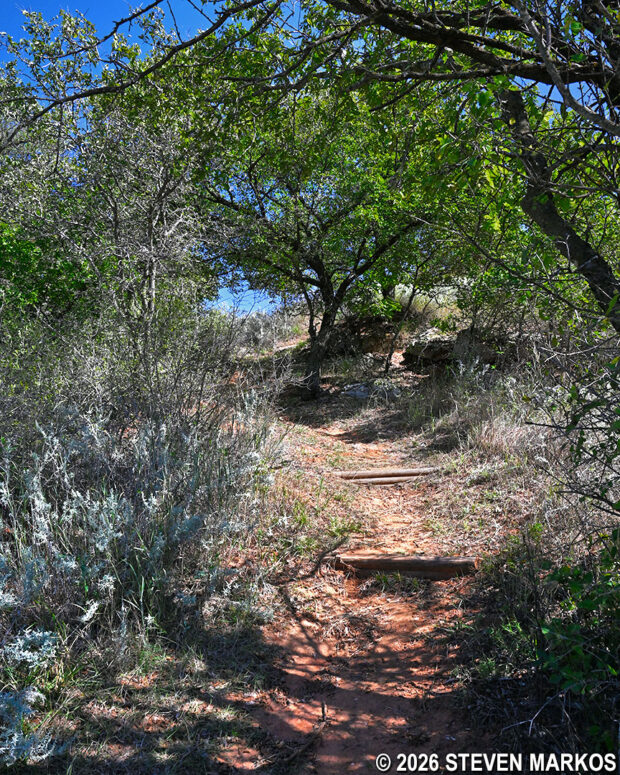 Erosion control steps on the Washita Battlefield Trail near Stop 12, Washita Battlefield National Historic Site