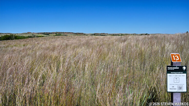 Prairie grass at Stop 13 on the Washita Battlefield Trail at Washita Battlefield National Historic Site