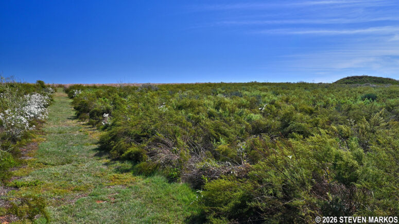 Typical terrain near Stop 13 on the Washita Battlefield Trail at Washita Battlefield National Historic Site
