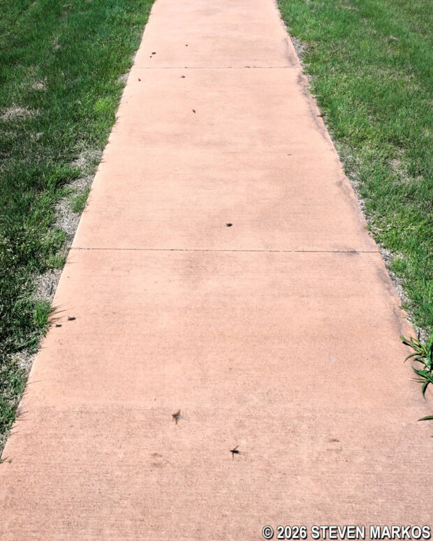 Crickets along the Dust and Fire Trail at Washita Battlefield National Historic Site