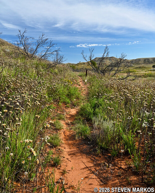Typical terrain of the Mesquite Trail just past the replica dwellings at Alibates Flint Quarries National Monument
