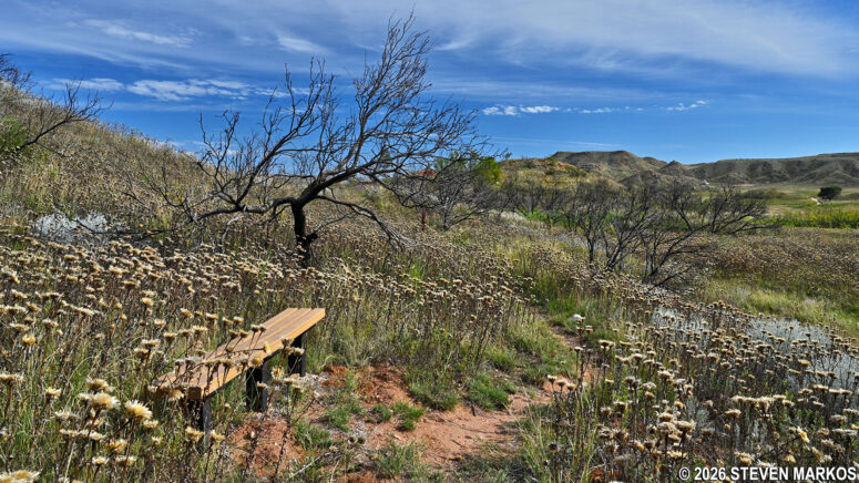 Bench surrounded by wildflowers along the Mesquite Trail at Alibates Flint Quarries National Monument