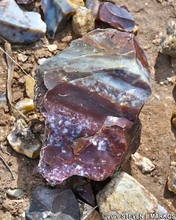 Piece of Alibates flint from the Alibates Flint Quarries