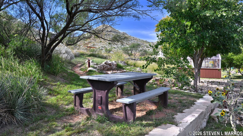 Picnic table under a mesquite tree at the trailhead for the Mesquite Trail, Alibates Flint Quarries National Monument