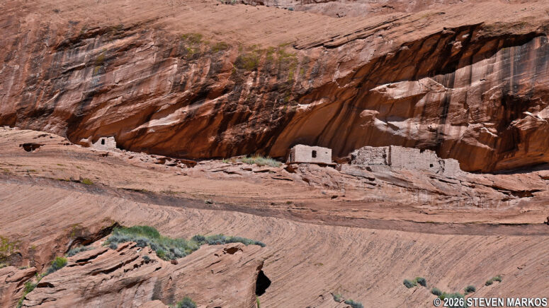 View from the canyon floor of Junction Ruin, Canyon de Chelly National Monument
