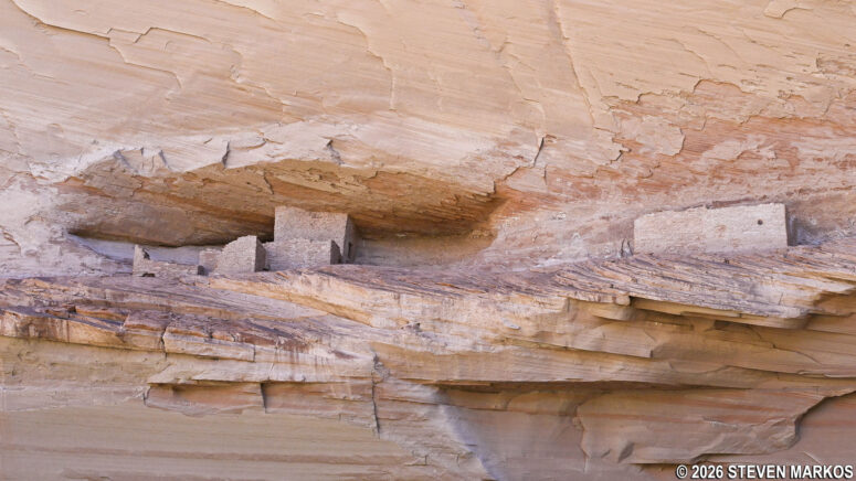 View of Ledge Ruin from the floor of Canyon del Muerto, Canyon de Chelly National Monument