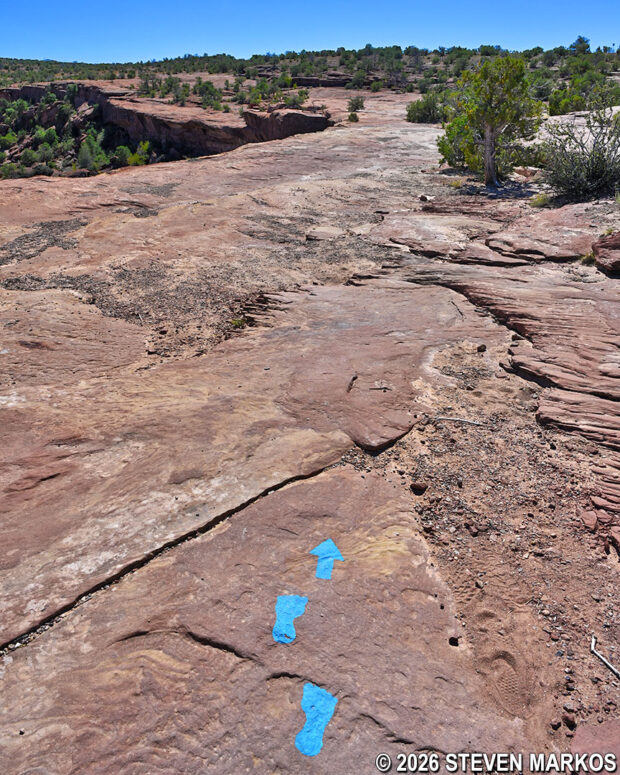 Painted markings along the path of the White House Trail at Canyon de Chelly National Monument