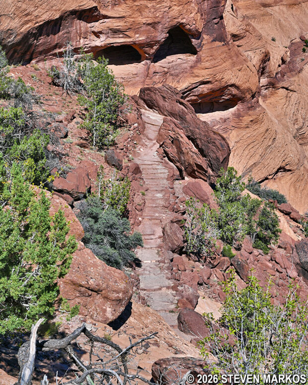 View of the steps after the fourth switchback on the White House Trail at Canyon de Chelly National Monument
