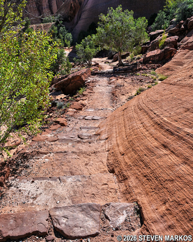 Path after the last switchback on the White House Trail at Canyon de Chelly National Monument