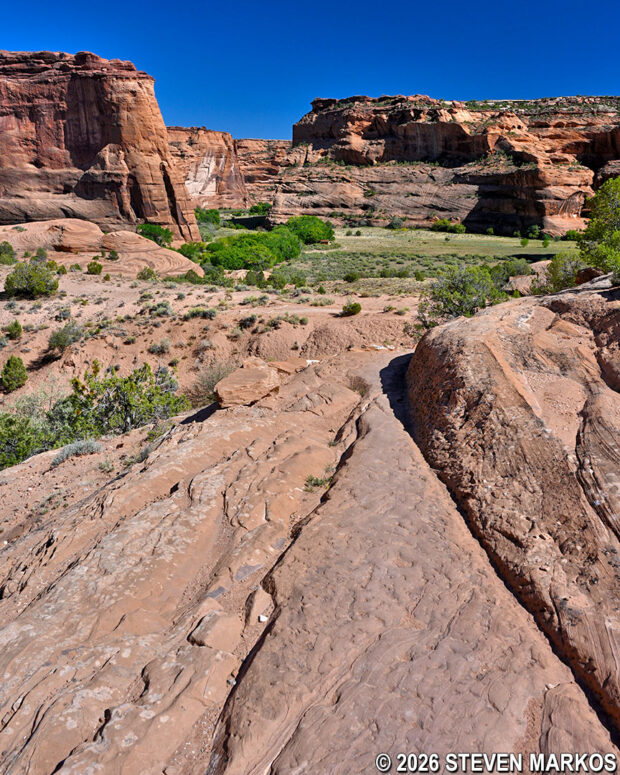 White House Trail after the switchbacks runs along a ledge, Canyon de Chelly National Monument