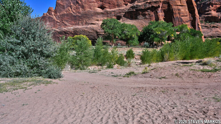 Path of the White House Trail merges with the dirt road on the canyon floor at Canyon de Chelly National Monument